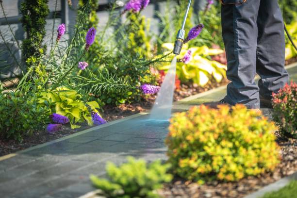 Best Soft Washing for Delicate Surfaces in Ladera Heights, CA